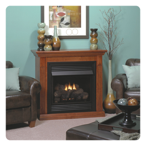  Gas Fireplace Insert and Vent-Free Freestanding Stove